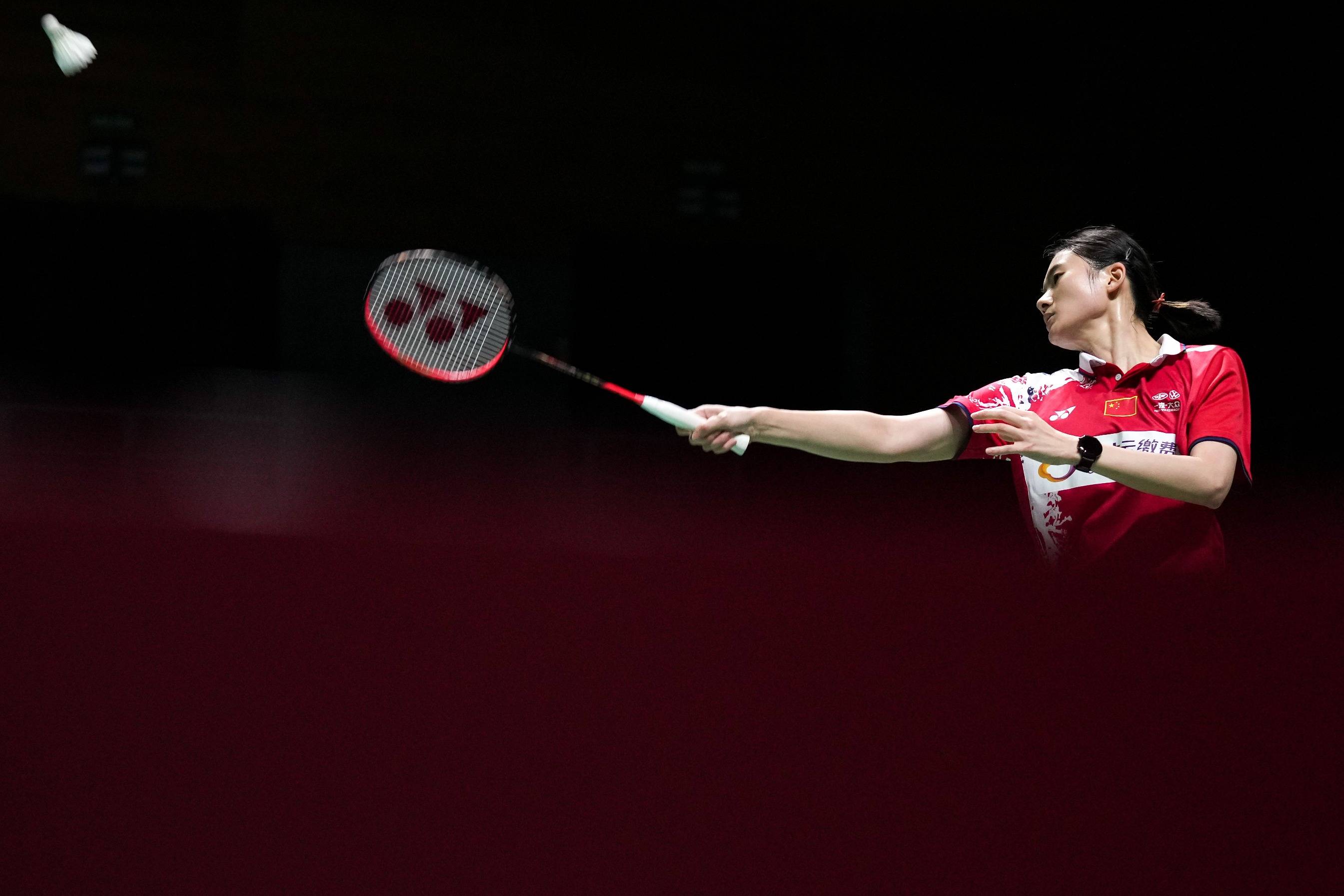 成功抵御了 成功抵御了