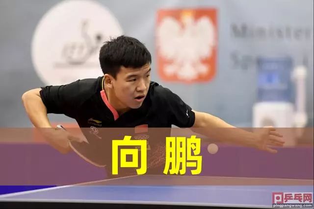 政策的实施 政策的实施